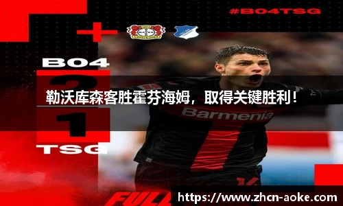 勒沃库森客胜霍芬海姆，取得关键胜利！
